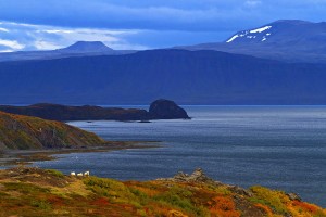 photo Islande