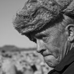 GRAND RASSEMBLEMENT DE TROUPEAUX DE MOUTONS (RETTIR EN ISLANDAIS), ROUND UP, TRADITION ISLANDAISE QUI CONSISTE A RENTRER LES OVINS QUI ETAIENT EN PATURE DANS LA MONTAGNE EN ETE, UNDIRFELLSRETT, NORD OUEST DE L'ISLANDE, EUROPE // THE BIG ROUND-UP OF HERDS OF SHEEP (RETTIR IN ICELANDIC), AN ICELANDIC TRADITION THAT CONSISTS OF BRINGING BACK THE SHEEP THAT HAD BEEN IN MOUNTAIN PASTURE IN SUMMER, UNDIRFELLSRETT, NORTHWEST ICELAND, EUROPE