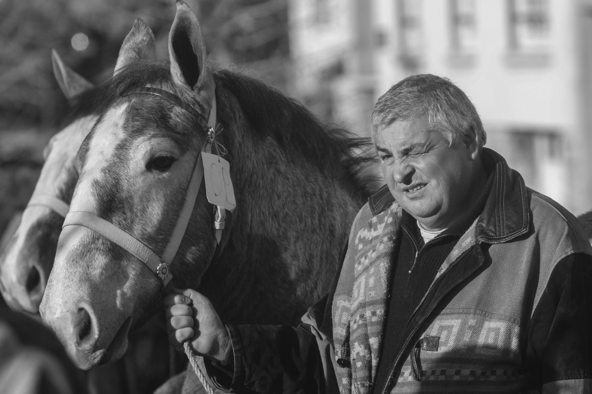 FOIRE AUX PERCHERONS LE MÊLE SUR SARTHE