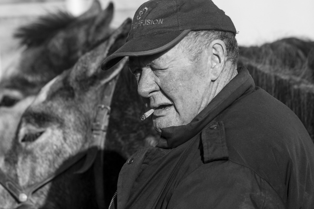 FOIRE AUX PERCHERONS LE MÊLE SUR SARTHE