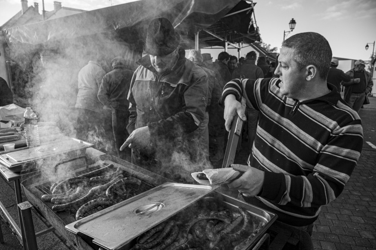 FOIRE AUX PERCHERONS LE MÊLE SUR SARTHE