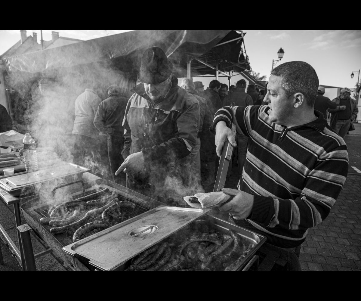 FOIRE AUX PERCHERONS LE MÊLE SUR SARTHE