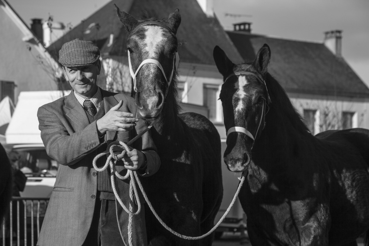 FOIRE AUX PERCHERONS LE MÊLE SUR SARTHE