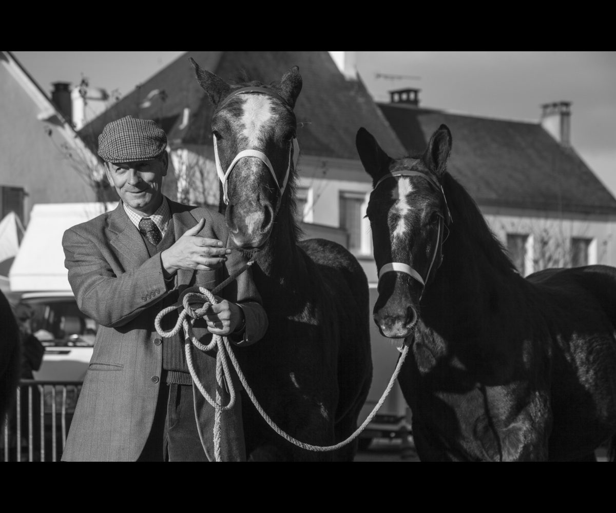 FOIRE AUX PERCHERONS LE MÊLE SUR SARTHE