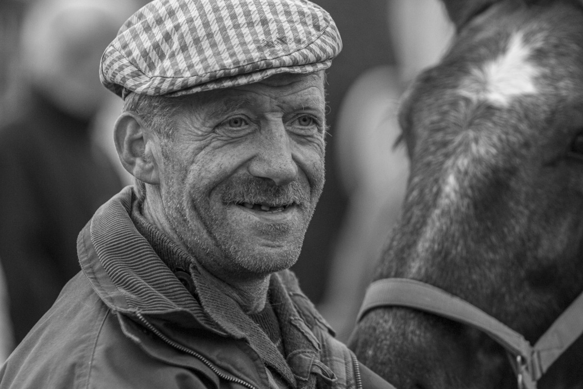 FOIRE AUX PERCHERONS LE MÊLE SUR SARTHE