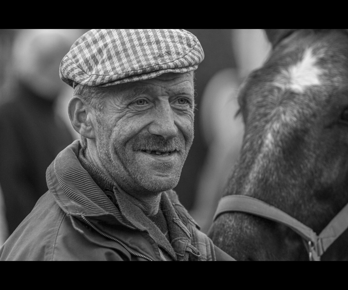 FOIRE AUX PERCHERONS LE MÊLE SUR SARTHE