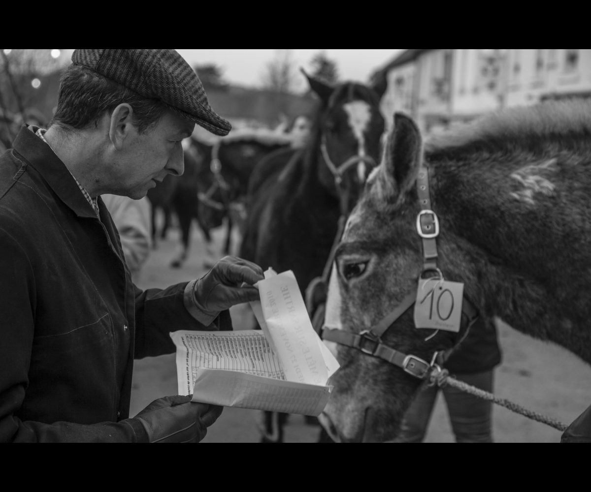 FOIRE AUX PERCHERONS LE MÊLE SUR SARTHE