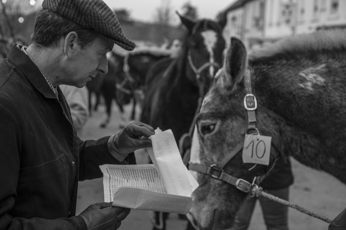 FOIRE AUX PERCHERONS LE MÊLE SUR SARTHE