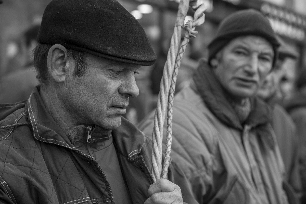 FOIRE AUX PERCHERONS LE MÊLE SUR SARTHE
