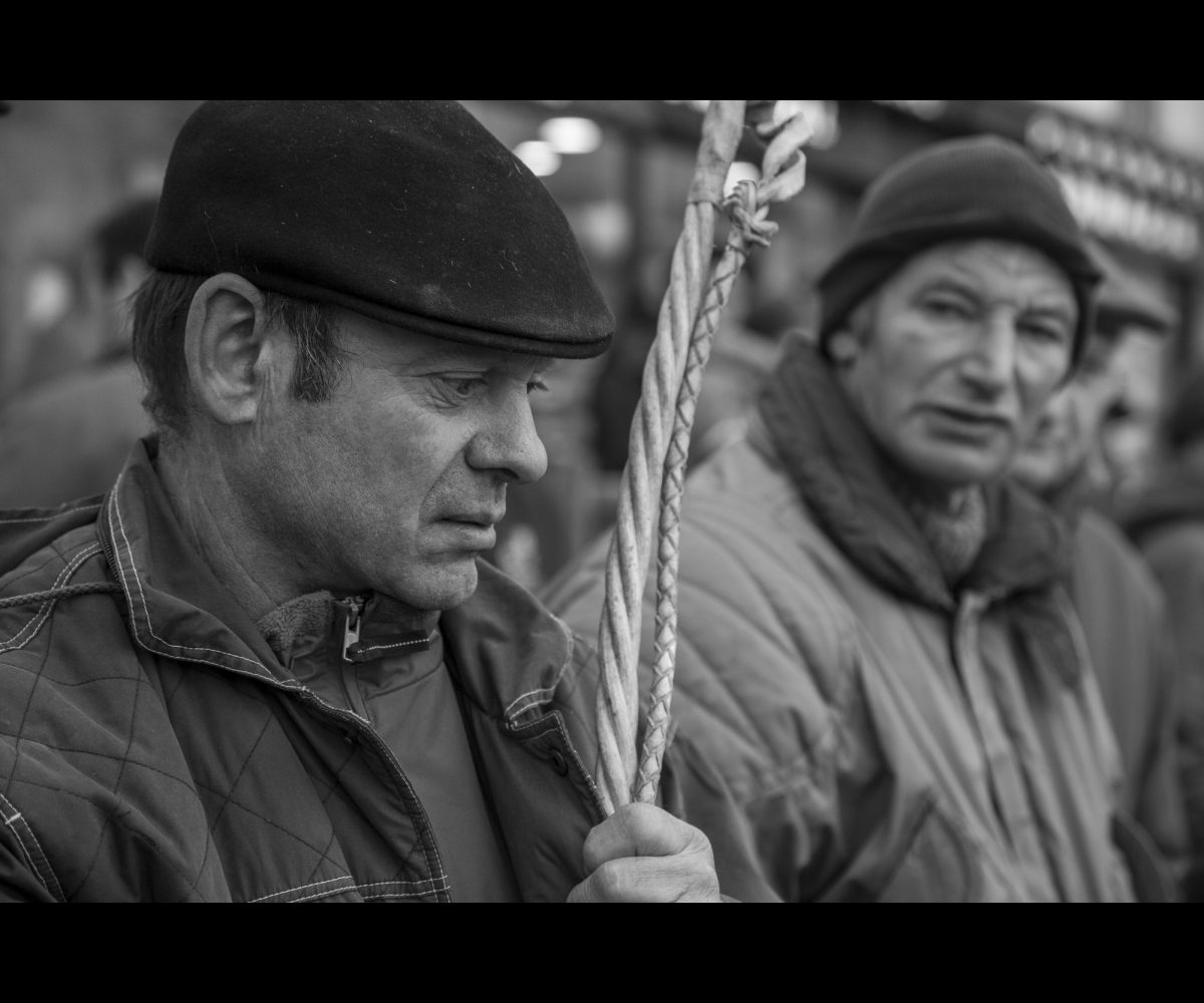 FOIRE AUX PERCHERONS LE MÊLE SUR SARTHE