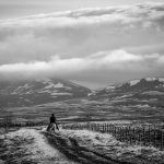 CAVALIER SUR UN CHEVAL ISLANDAIS, NORD OUEST DE L'ISLANDE, EUROPE